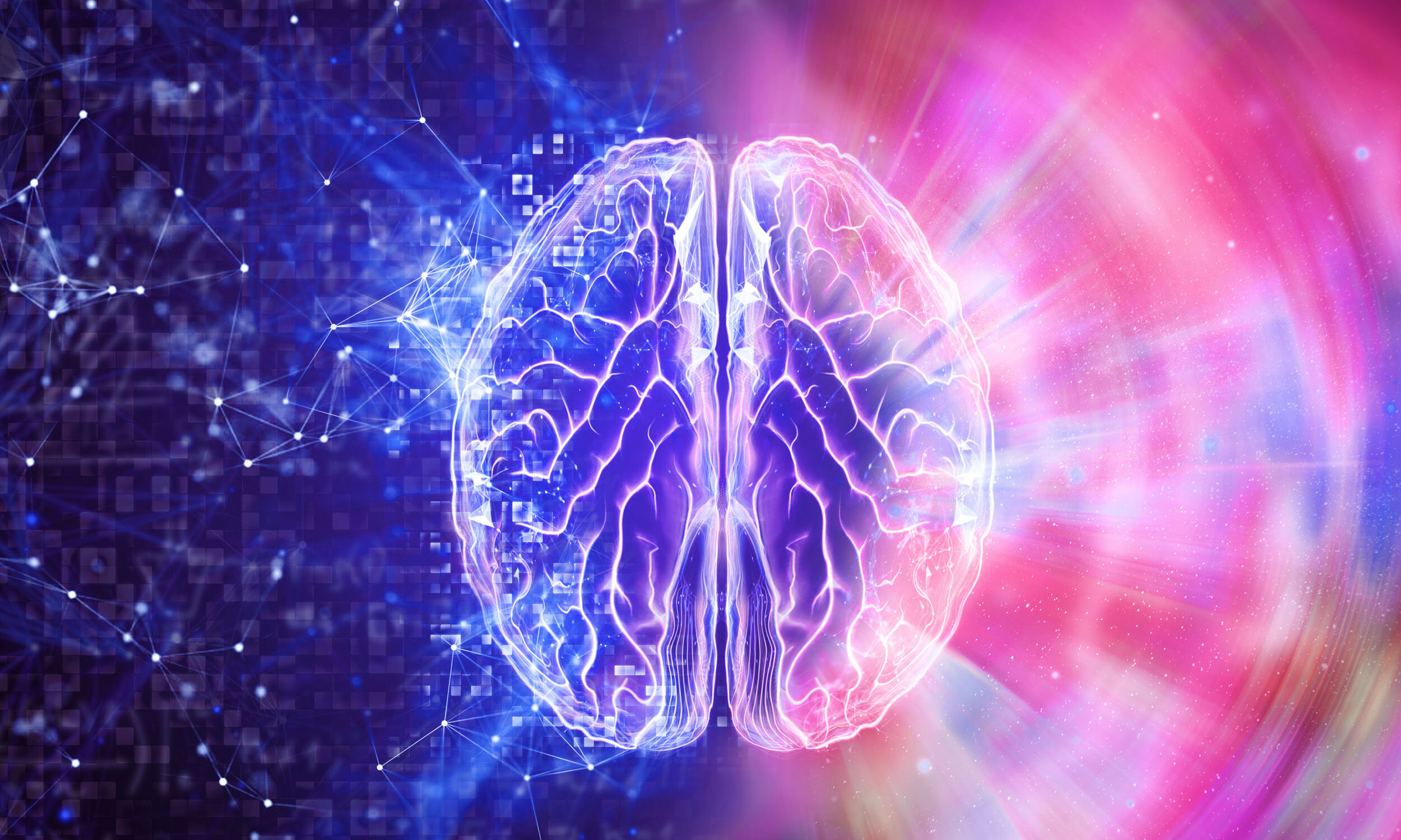 office responsive devices web design website office responsive devices web design website