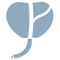 rak prostate
